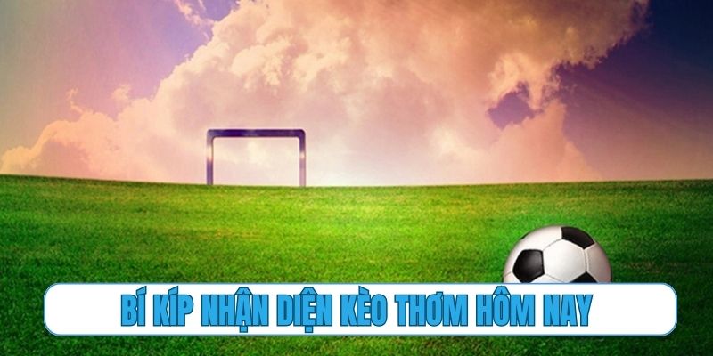 Bí kíp nhận diện kèo thơm hôm nay chứ không phải kèo dụ