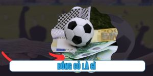 bóng cỏ là gì
