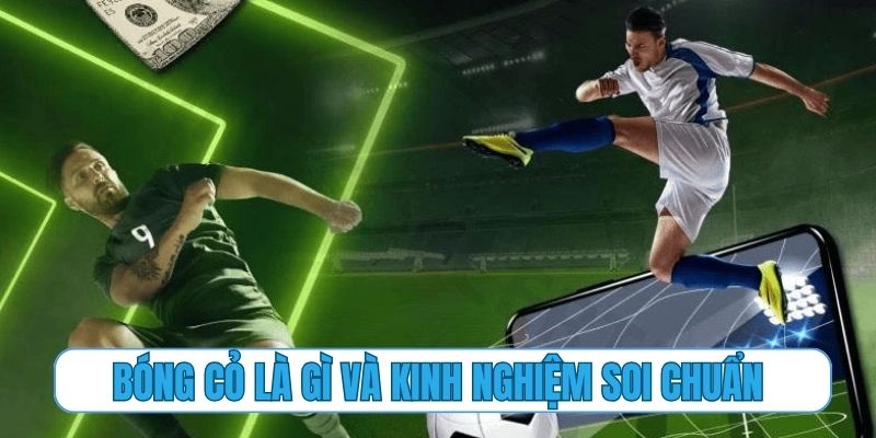 Bóng cỏ là gì và kinh nghiệm soi chuẩn nhất có thể