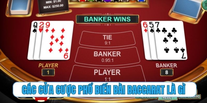Các cửa cược phổ biến trong bàn chơi bài Baccarat là gì