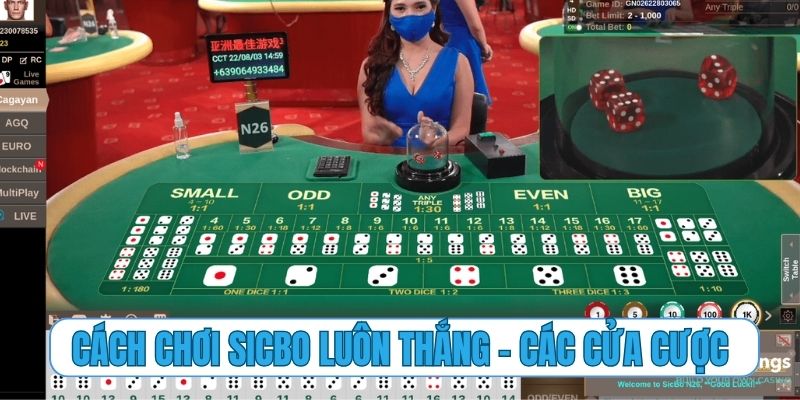 Cách chơi Sicbo luôn thắng – các cửa cược tỷ lệ thắng cao