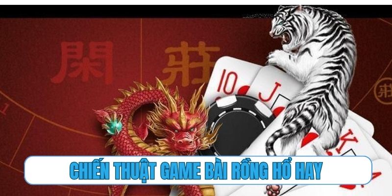 Chiến thuật game bài rồng hổ hay và cực kỳ dễ áp dụng