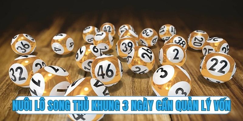 Nuôi lô song thủ khung 3 ngày cần quản lý vốn chuẩn