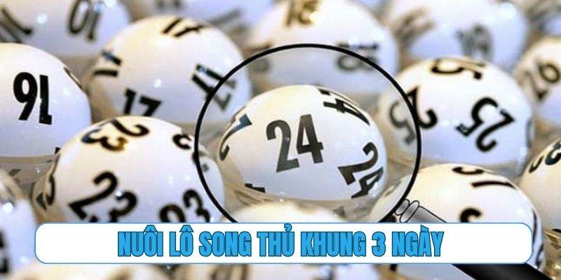 nuôi lô song thủ khung 3 ngày