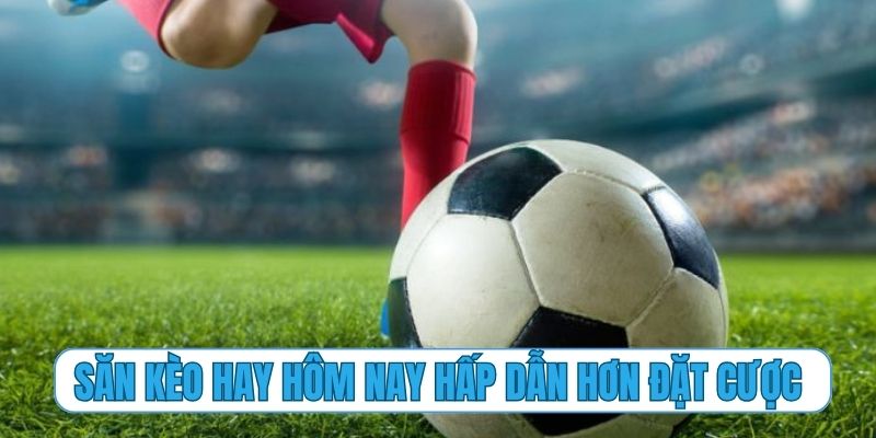 Săn tìm kèo hay hôm nay còn hấp dẫn hơn cả đặt cược
