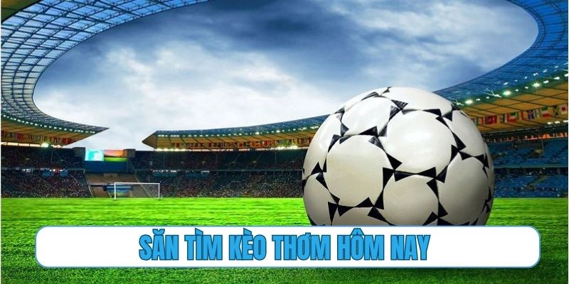 Tầm quan trọng của việc săn tìm kèo thơm hôm nay