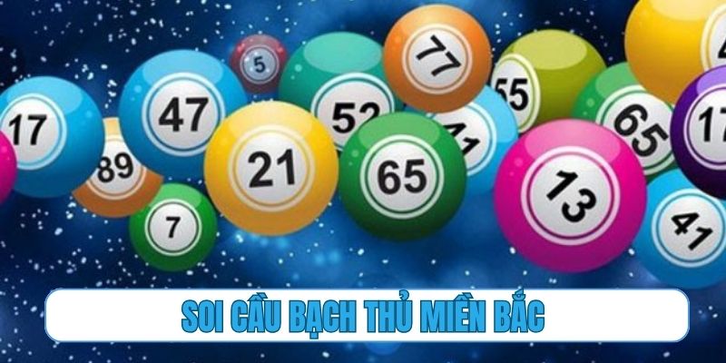 soi cầu bạch thủ miền bắc