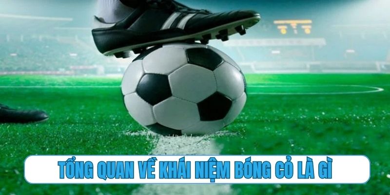 Tổng quan về khái niệm bóng cỏ là gì trong cá cược online